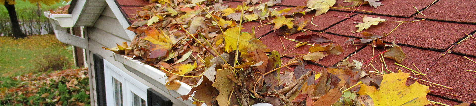 Gutter Cleaning