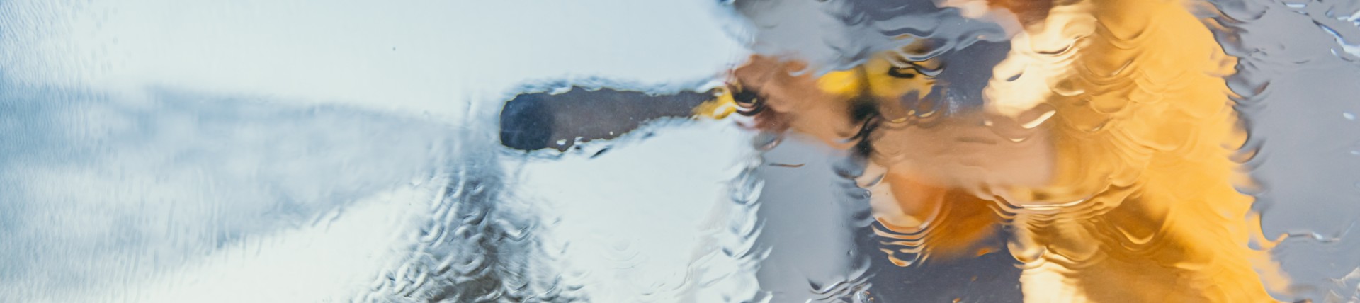 Window Washing